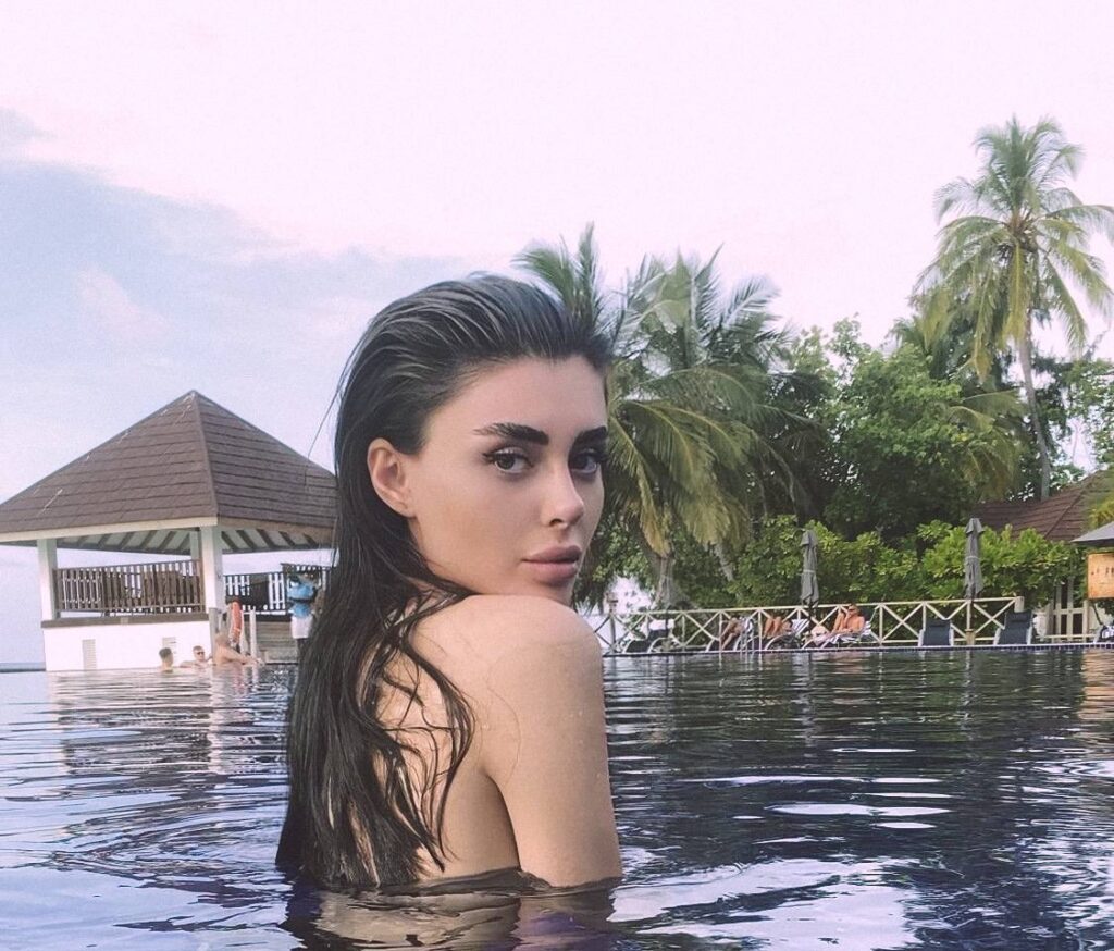 Элитная модель